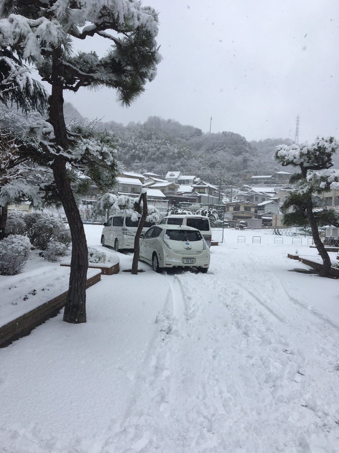 久しぶりの大雪です!